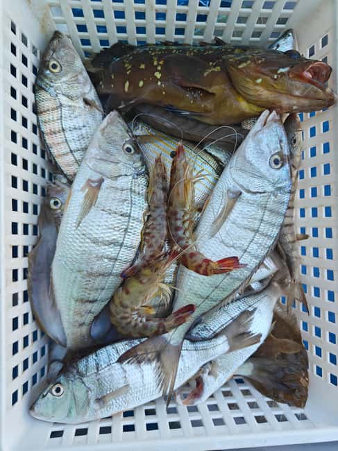 Cefalù: boat trip with fishing, coastal tour, snorkeling, and lunch on board - The boat, comfort, and practical limits