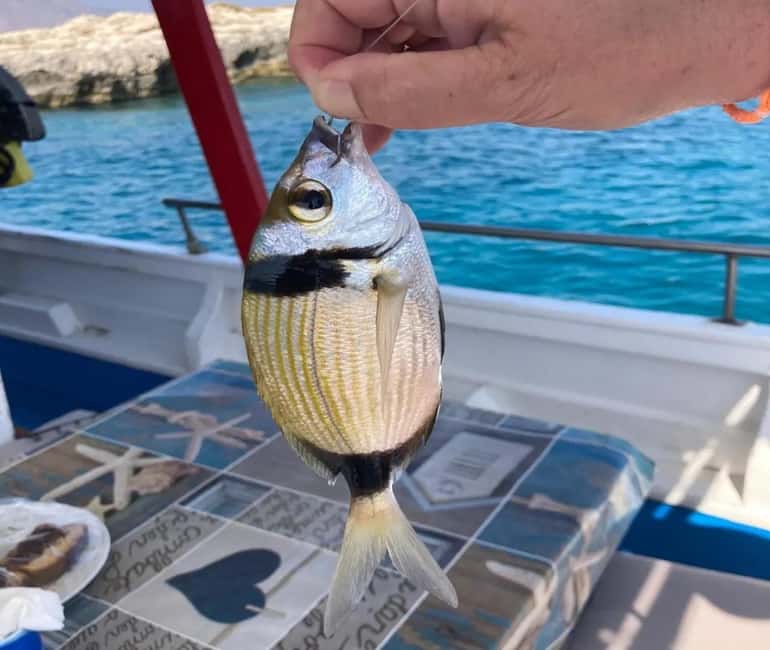 Chania: Fishing Boat Trip with Breakfast and Swim - Who will enjoy this three-hour outing