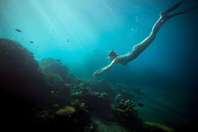 Da Nang: Son Tra Peninsula Exploration - Snorkeling, Fishing - Who will enjoy this Son Tra outing