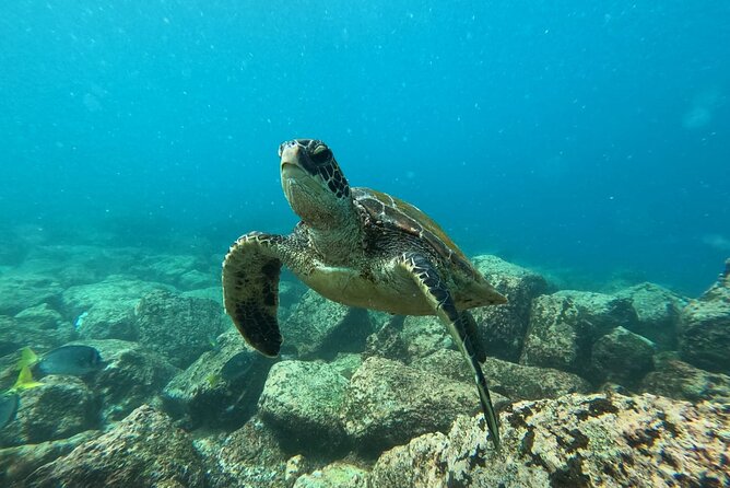 Day Tour to Floreana Island with Snorkeling and Fishing - Key points to know before booking