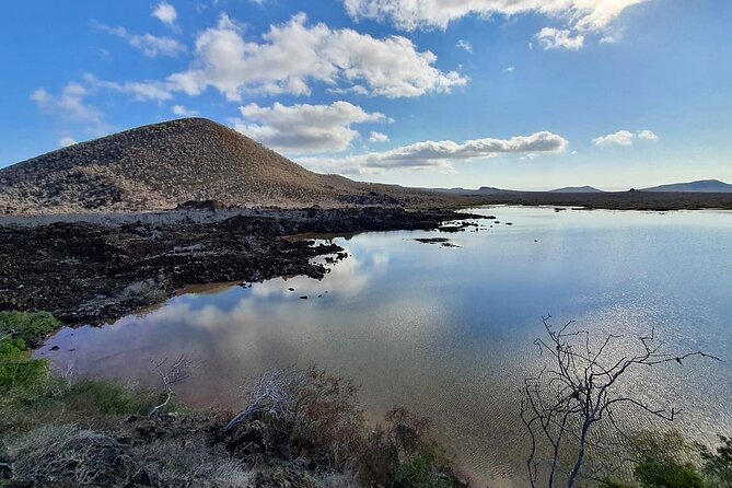 Day Tour to Floreana Island with Snorkeling and Fishing - Enderby Islet: sea lions, seabirds, and the best water action