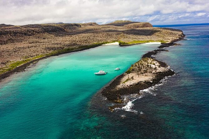 Day Tour to Santa Fe Island and Hidden Beach with snorkeling and fishing - Santa Fe Island, where sea lions steal the show