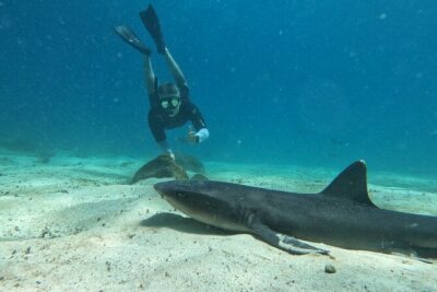 Day Tour to Santa Fe Island and Hidden Beach with snorkeling and fishing