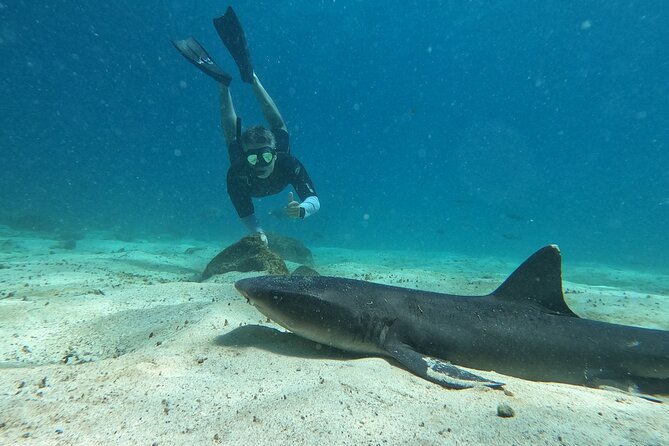 Day Tour to Santa Fe Island and Hidden Beach with snorkeling and fishing - Wildlife above the water is part of the reward