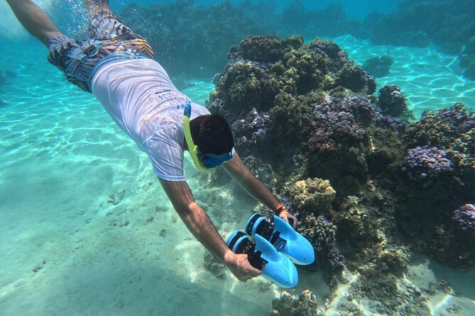 DEEP SEA FISHING 1/2 day (private group) - Who should book this private fishing trip?