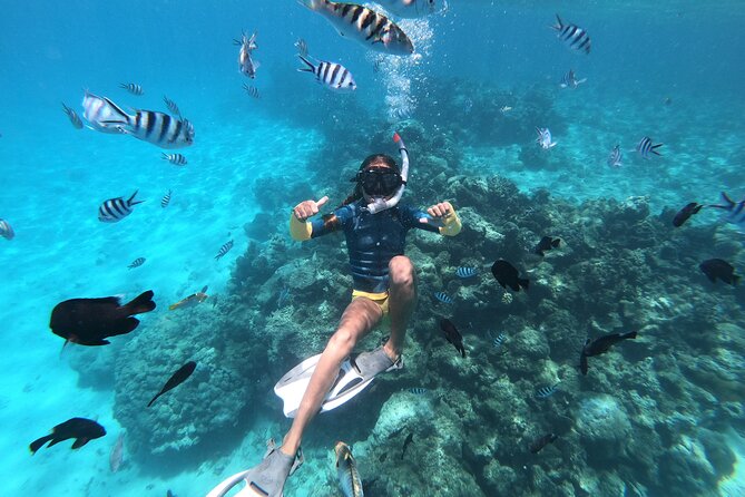 DEEP SEA FISHING 1/2 day (private group) - Should you book the Tahiti half-day fishing trip?