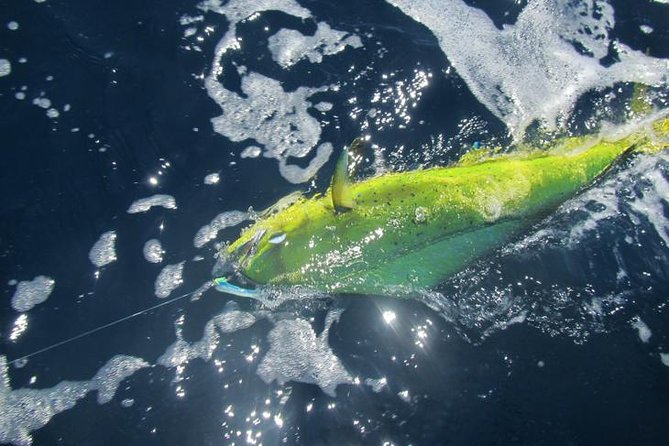 Deep Sea Fishing for 5 Hours from Cabo San Lucas - Boat size, comfort, and safety questions