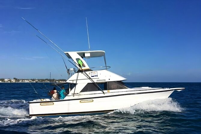 Deep sea fishing in Punta Cana and Bávaro. - Key points at a glance