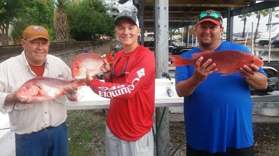 Destin: Have Fun Charters Fishing Experience - Who Should Book This Charter