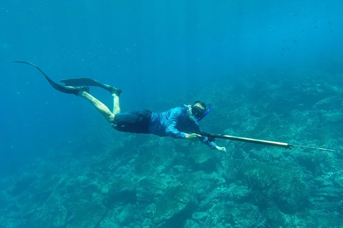 Discover Spearfishing course - Key points before you book