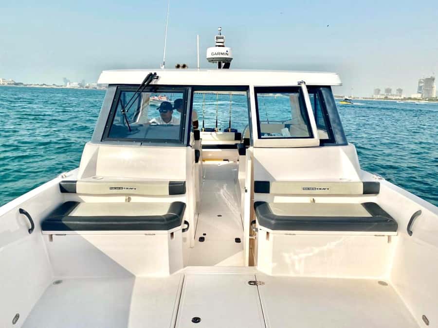 Dubai: 4-Hour Deep-Sea Fishing Cruise - Key points to know before booking