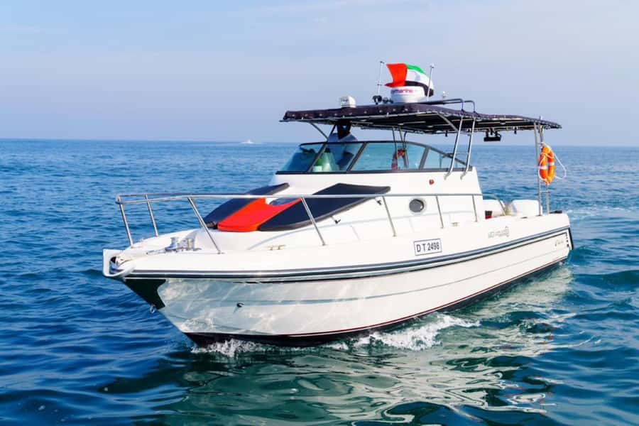 Dubai: 4-Hour Deep Sea Fishing, Trolling, Casting - Who will enjoy this boat trip most