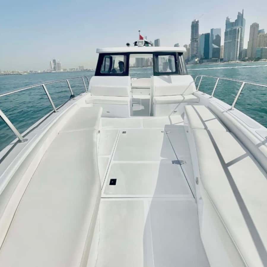 Dubai:Best Fishing Trip-4Hours - Fishing beyond the city skyline