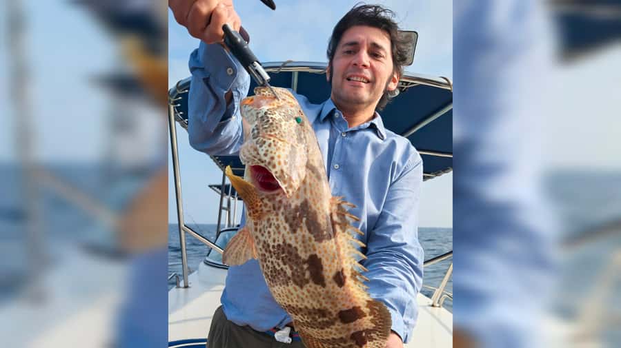 Dubai: Private Deep Sea Fishing Trip with BBQ of Catch - The shoreline view is part of the outing