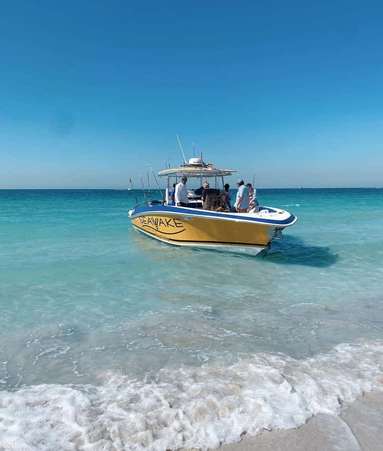 Dubai's BEST Fishing Charter – No Fish, No Pay! - What the day feels like in practice