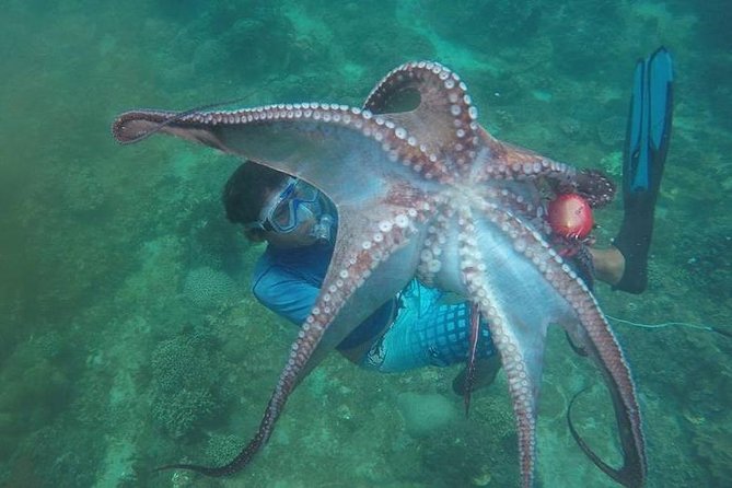 East Bali Spear Or Line Fishing Tour At Virgin Beach - Key points to know before booking