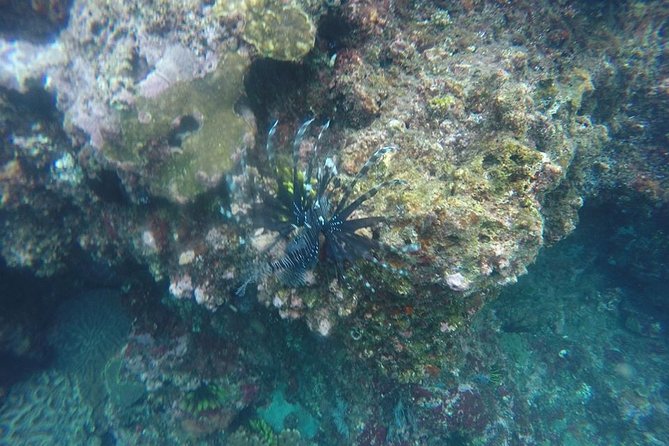 East Bali Spear Or Line Fishing Tour At Virgin Beach - A real fishing day, not a resort activity