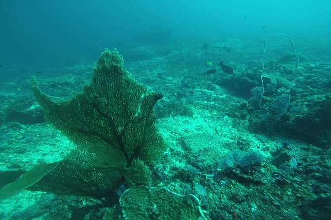 East Bali Spear Or Line Fishing Tour At Virgin Beach - Virgin Beach and the simple boat setup