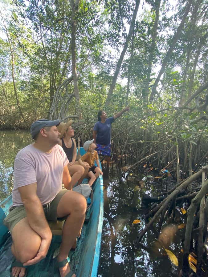 El Paredón: Mangrove Boat Tour with Optional Fishing - Entering the third-largest mangrove ecosystem in Guatemala