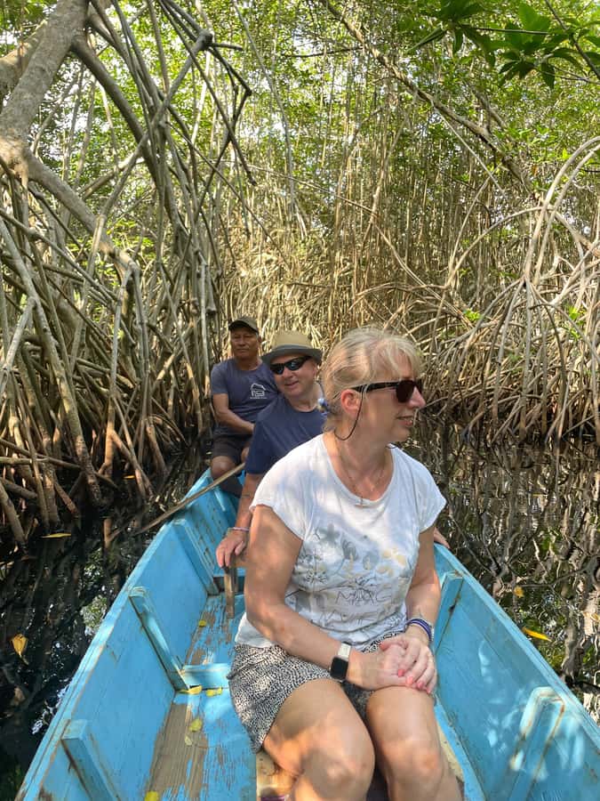 El Paredón: Mangrove Boat Tour with Optional Fishing - Comfort, access, and what to pack
