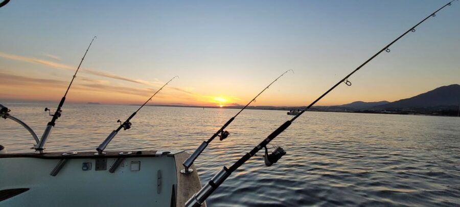 Estepona: Fishing Tour StartFisher 1060 - The views beyond the fishing lines