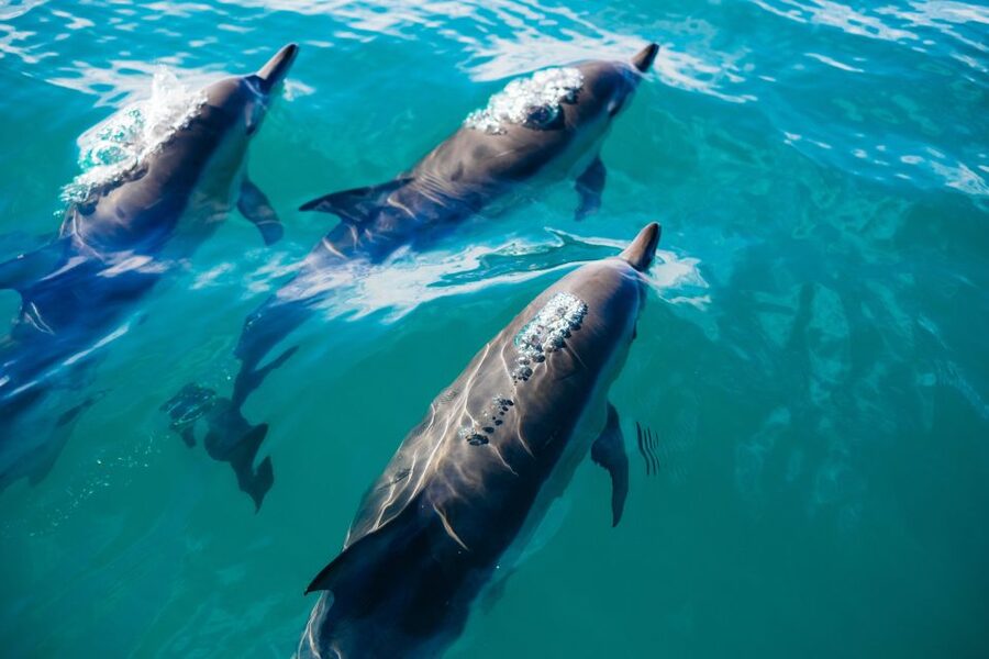 Estepona: Fishing Tour StartFisher 1060 - Packing for sun, spray, and possible seasickness