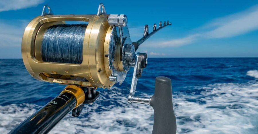 Estepona: Fishing Tour StartFisher 1060 - What two hours really gives you