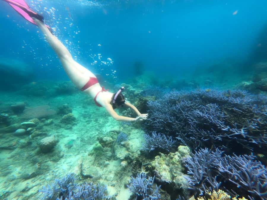 Exclusive Lombok Fishing & Snorkeling Tour Across 4 Gilis - Lunch, gear, and what the $64 covers