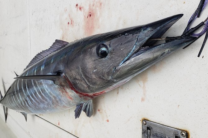 Fishing Charter 4 hours - Who will enjoy this charter most