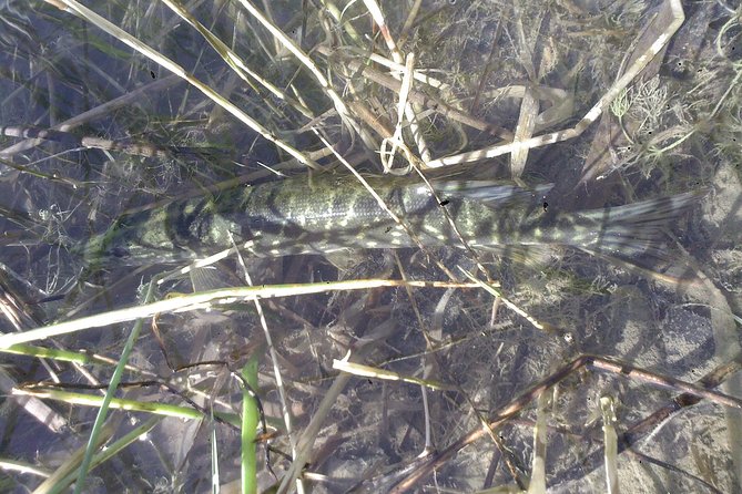 Fishing in Provence - Getting Started With the Rod and Tackle