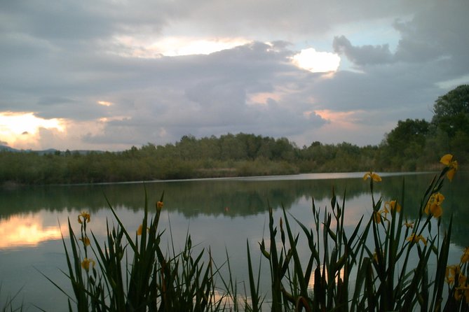 Fishing in Provence - Weather, Timing, and What Can Change