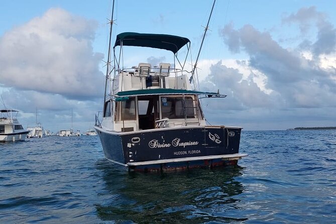 FISHING PRO CHARTERS - Boat Excursion - Divina - Who should book this charter