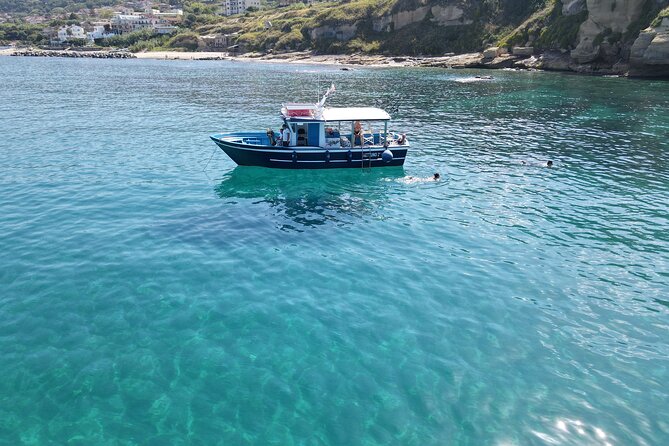 Fishing, Snorkelling & Dolphin Boat Tour - Key points before you book