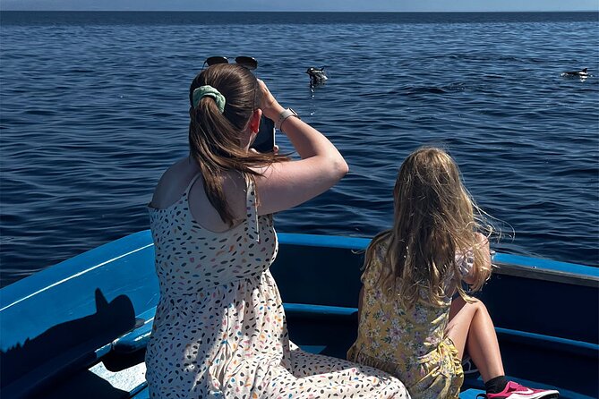 Fishing, Snorkelling & Dolphin Boat Tour - Who will enjoy this boat trip most