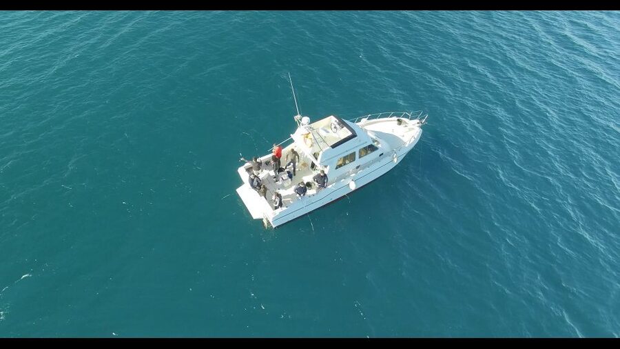 Fishing Trip all included - What the champion skipper adds