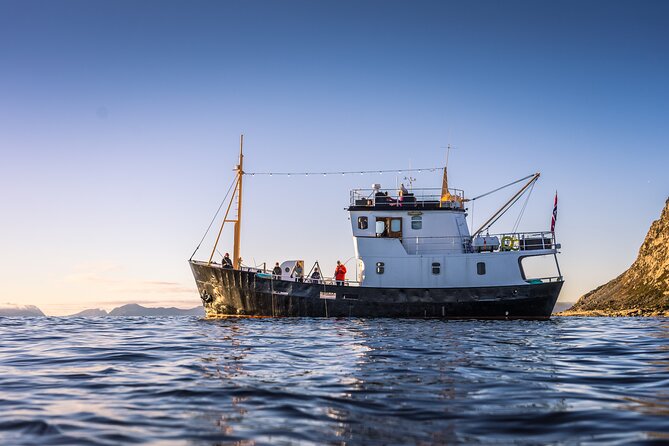 Fishing Trip in Alesund - Fishing beside Ålesund’s mountain and island views