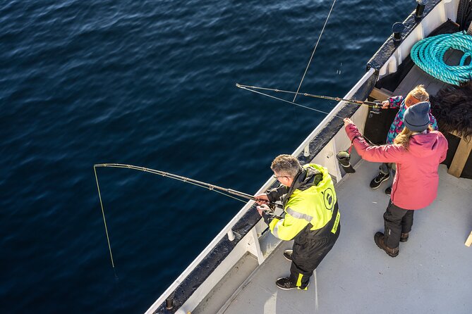 Fishing Trip in Alesund - What happens during the four-hour outing