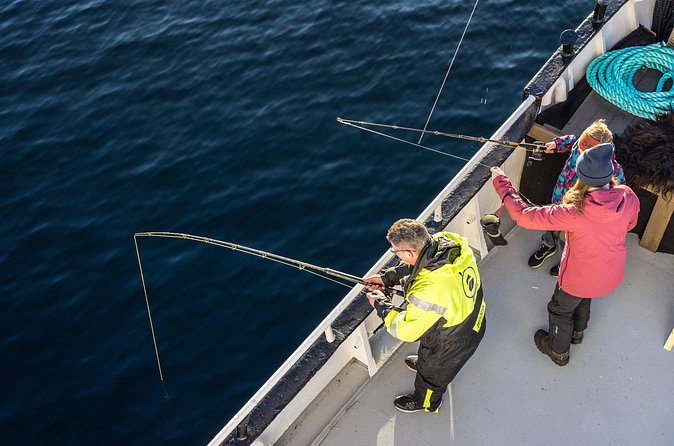 Fishing Trip in Alesund - Weather, cancellations, and planning wisely
