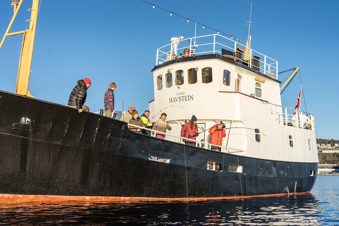 Fishing Trip in Alesund - Why the small group matters