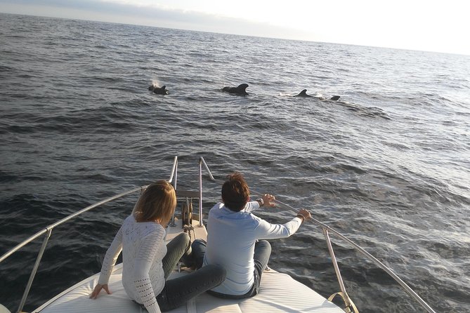 Fishing trip, Tenerife Sea Passion - Four hours, three ways to fish