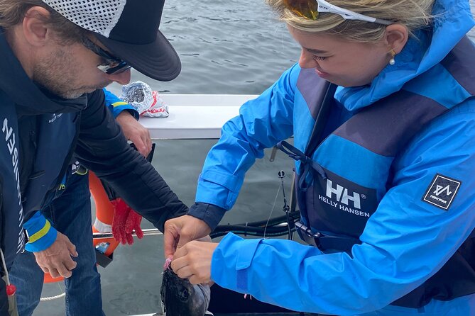 Fjord Sea Safari with Fishing from Bergen - Bergen from the sea and the chance of a sea eagle