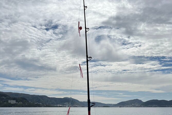Fjord Sea Safari with Fishing from Bergen - Who will get the most from this outing