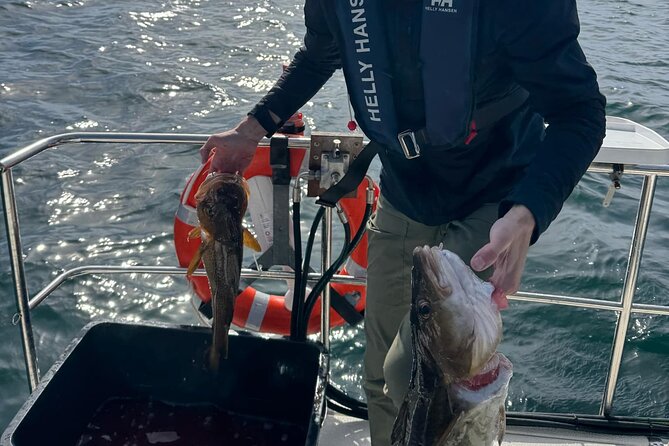 Fjord Sea Safari with Fishing from Bergen - Fishing in the fjord, with no guarantee of a catch