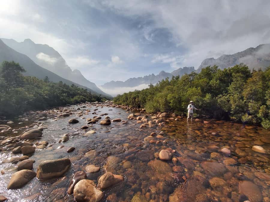 Fly Fishing in Cape Town - Catch and release keeps the focus on the fish