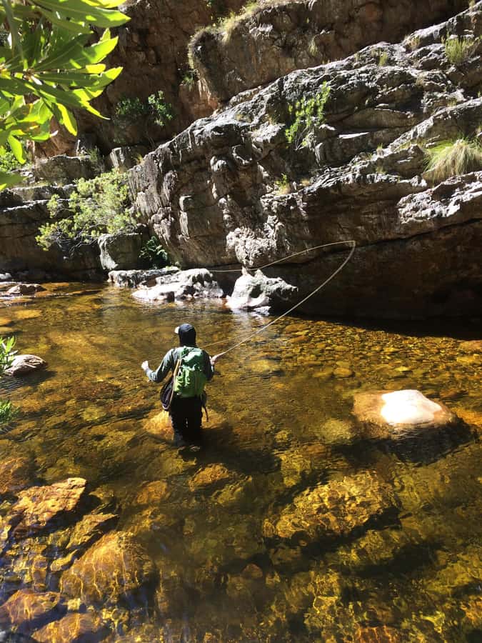 Fly Fishing in Cape Town - The $280 price: good value for the right angler