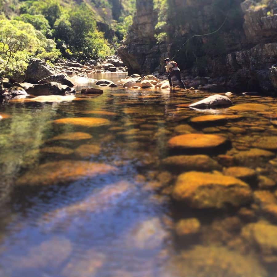 Fly Fishing in Cape Town - Practical booking advice before you pay