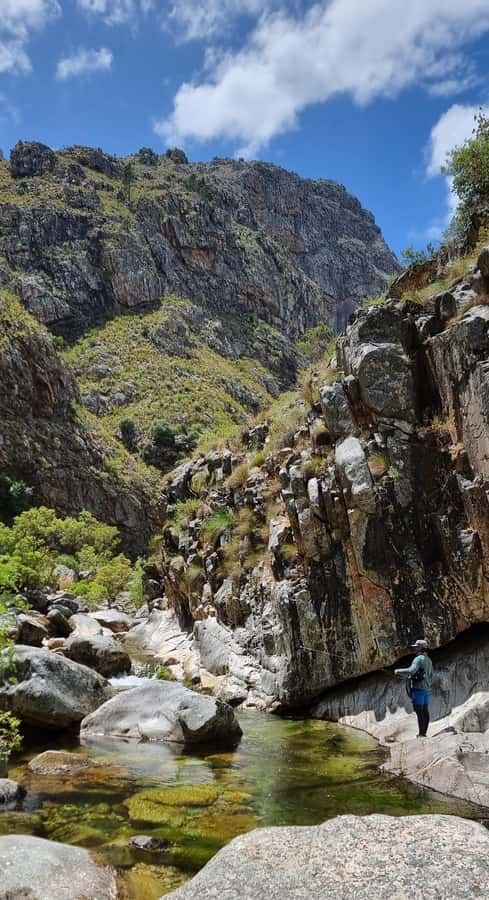 Fly Fishing in Cape Town - Should you book Fly Fishing in Cape Town?