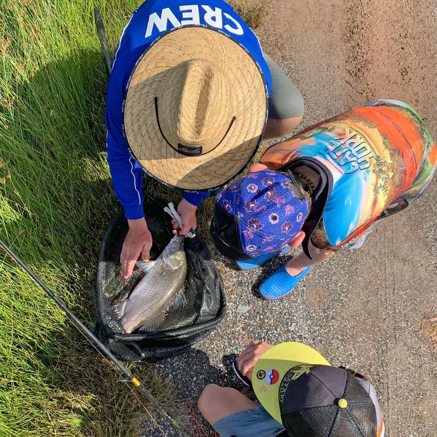 From Port Douglas: Barramundi Pond Fishing with Lunch - Why the barramundi fight is the main event