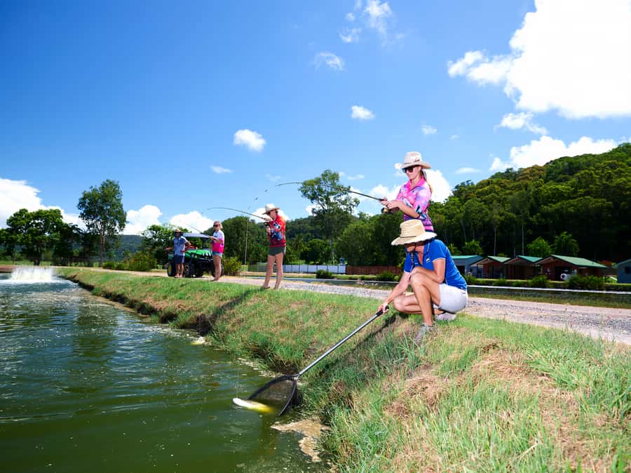 From Port Douglas: Barramundi Pond Fishing with Lunch - What $109 gets you