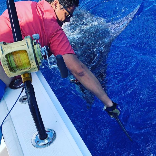 From Puerto Colón: Private Fishing Boat Charter with Lunch - Key points at a glance